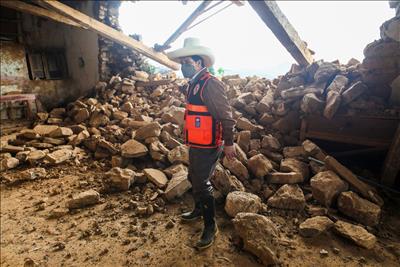  Peru: Động đất đã khiến 75 ngôi nhà bị phá hủy hoàn toàn