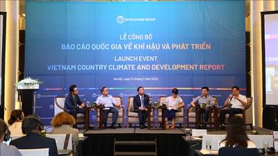 Đánh giá về chiến lược phát triển và ứng phó với biến đổi khí hậu ở Việt Nam