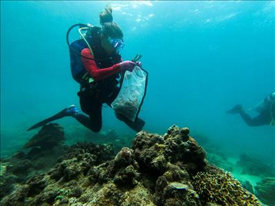 Philippines: Thợ lặn dọn rác thải nhựa từ san hô