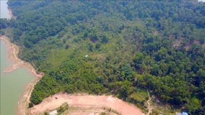 Thái Nguyên chuyển mục đích sử dụng gần 80 ha đất rừng để thực hiện các dự án