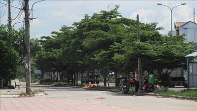 Bình Định xây dựng Tuy Phước thành đô thị xanh