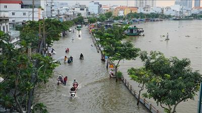 Triều cường, xâm nhập mặn, ngập lụt tiếp diễn phức tạp trong năm 2021