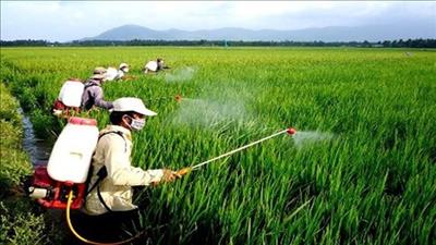 Hợp tác sử dụng thuốc bảo vệ thực vật an toàn trong nông nghiệp