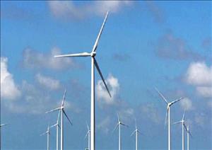 Lâm Đồng nhiều dự án điện gió chậm tiến độ