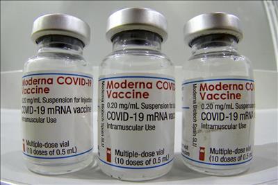Trung Quốc: Nhiều công ty dược phẩm đẩy nhanh tiến độ nghiên cứu thuốc Covid-19