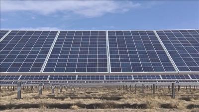 EVN được cấp tín dụng hợp vốn 780 tỷ đồng triển khai dự án điện mặt trời 