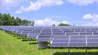 PECC2 có thêm 2 hợp đồng EPC xây dựng nhà máy điện mặt trời tại Quảng Trị