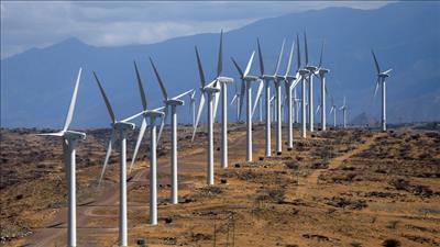 Sóc Trăng: Thỏa thuận đấu nối các nhà máy điện gió vào hệ thống lưới điện 110kV