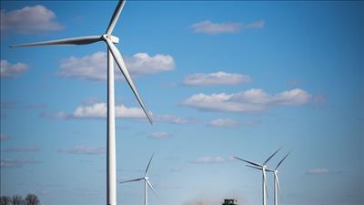 Bổ sung các dự án điện gió vào quy hoạch phát triển điện lực