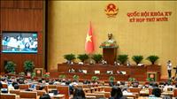 Đề nghị đưa GDP xanh, tăng trưởng carbon thấp vào hệ thống chỉ tiêu phát triển quốc gia