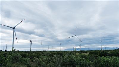 Bắc Giang: Đồng ý cho doanh nghiệp khảo sát đầu tư dự án điện gió