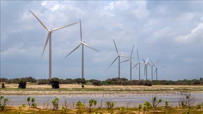 Bạc Liêu: Chấp thuận chủ trương đầu tư dự án điện gió Đông Hải 1 giai đoạn 2