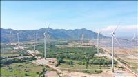 Bản tin năng lượng số 29/2025