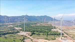 Bản tin năng lượng số 29/2025