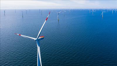 Bản tin năng lượng số 43/2025