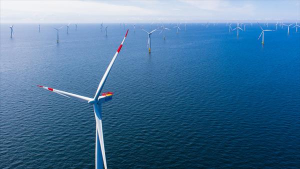 Bản tin năng lượng số 43/2025