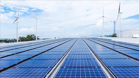 Bản tin năng lượng số 44/2025