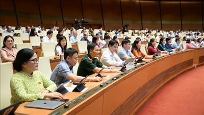 Quốc hội đồng ý rút ngắn thời gian thực hiện quy trình bầu cử