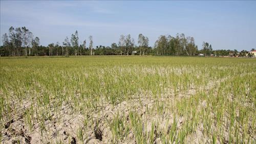 Xây dựng, cập nhật kịch bản biến đổi khí hậu cho Việt Nam