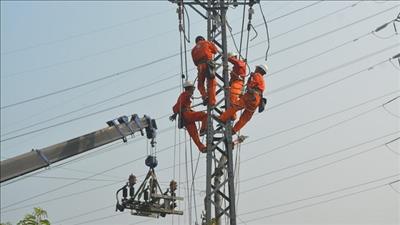 Tỉnh Bình Định thực hiện tiết kiệm điện trong giai đoạn 2023 - 2025 và các năm tiếp theo