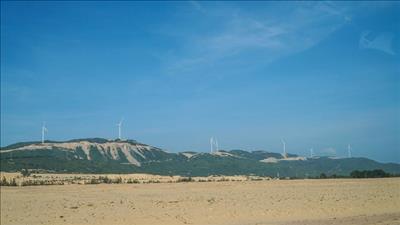 Bình Định chấp thuận cho 2 doanh nghiệp nghiên cứu, khảo sát tiềm năng điện gió