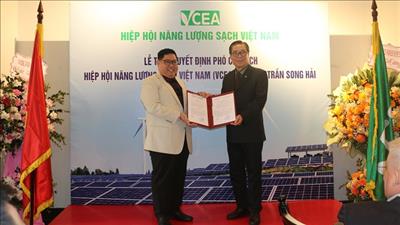 Trao quyết định Phó Chủ tịch VCEA cho ông Trần Song Hải