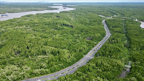 TPHCM: Phát triển Cần Giờ thành khu vực tăng trưởng xanh, thông minh, thân thiện môi trường