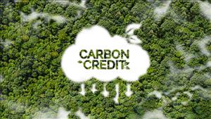 Quy định mới về thị trường carbon từ ngày 1/8/2025