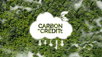 Quy định mới về thị trường carbon từ ngày 1/8/2025