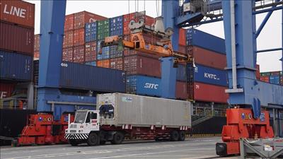 USAID hỗ trợ các hoạt động giảm ùn tắc tại cảng Cát Lái