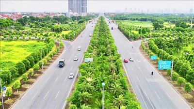 Hà Nội phấn đấu trồng hơn 400.000 cây xanh trong năm 2026