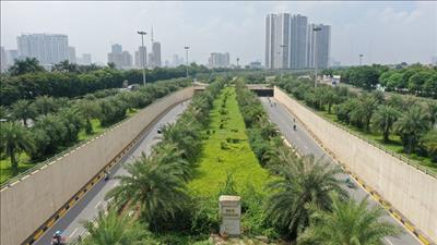 Thành phố Hà Nội lên kế hoạch trồng mới 500.000 cây xanh đô thị