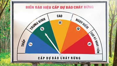 Thủ tướng yêu cầu tăng cường các biện pháp cấp bách phòng cháy, chữa cháy rừng