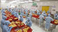 Vốn đầu tư FDI đăng ký mới tăng mạnh trong 5 tháng đầu năm