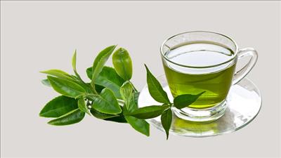 Một số loại thực phẩm giúp giảm cholesterol nên bổ sung hàng ngày