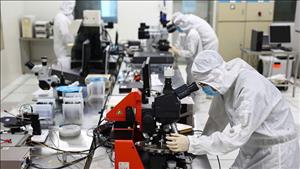 Chính sách thu hút chuyên gia người nước ngoài và kiều bào về nước giảng dạy, làm việc