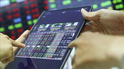 Danh mục cổ phiếu cần quan tâm ngày 24/12