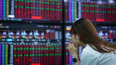 Danh mục cổ phiếu cần quan tâm ngày 28/11