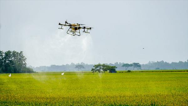 Ứng dụng khoa học công nghệ để phát triển nông nghiệp bền vững
