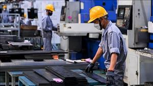 Chính phủ ban hành thêm các chính sách phát triển công nghiệp hỗ trợ