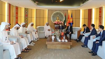Thiết lập quan hệ đối tác lâu dài, bền vững trong lĩnh vực năng lượng với UAE
