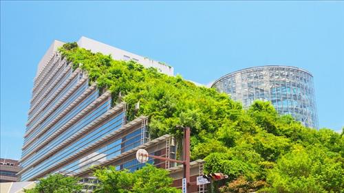 Phát triển công trình xanh thúc đẩy chuyển đổi xanh ngành xây dựng