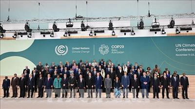 COP29: Các quốc gia giàu có cam kết không xây mới nhà máy điện than