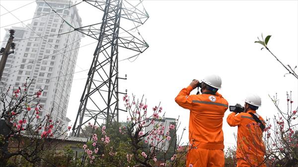 Bảo đảm cung ứng điện an toàn, ổn định dịp Tết Nguyên đán Bính Ngọ 2026