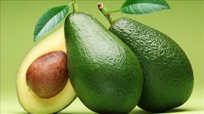 Thực phẩm giúp duy trì sức khỏe làn da