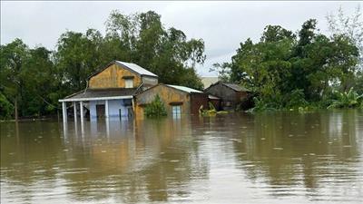 Hỗ trợ khẩn cấp kinh phí cho thành phố Đà Nẵng khắc phục thiệt hại do mưa lũ