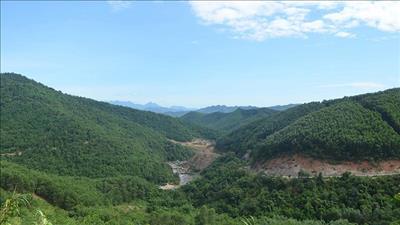 Thủ tục quyết định chuyển mục đích sử dụng rừng tại Thanh Hóa và Nghệ An