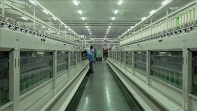 Thúc đẩy tiết kiệm năng lượng trong doanh nghiệp ngành dệt may