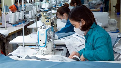Nâng cao hiệu quả sử dụng năng lượng góp phần xanh hóa ngành dệt may