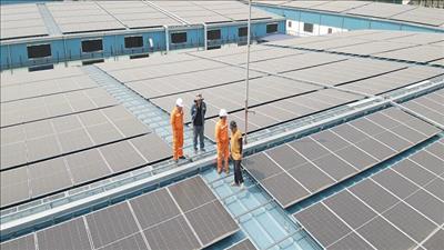 Sử dụng điện hiệu quả, giảm áp lực hệ thống và giảm hóa đơn tiền điện